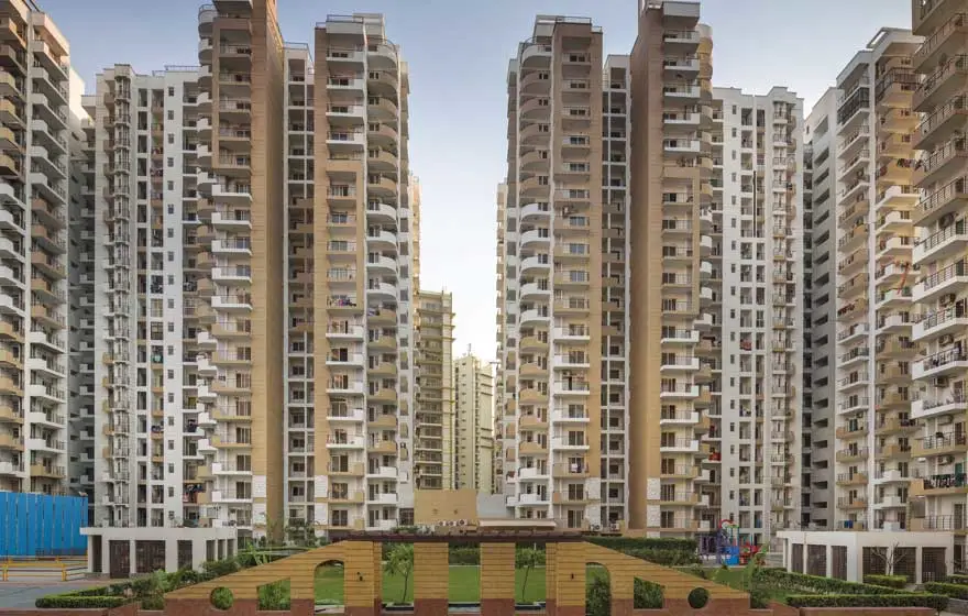 Express Zenith Day View